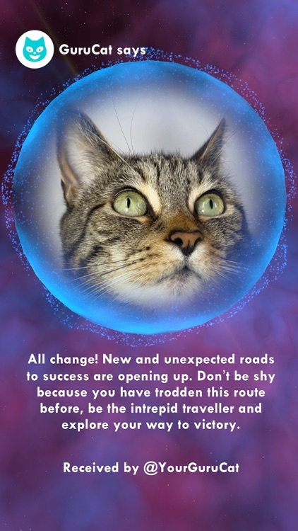 GuruCat screenshot-4