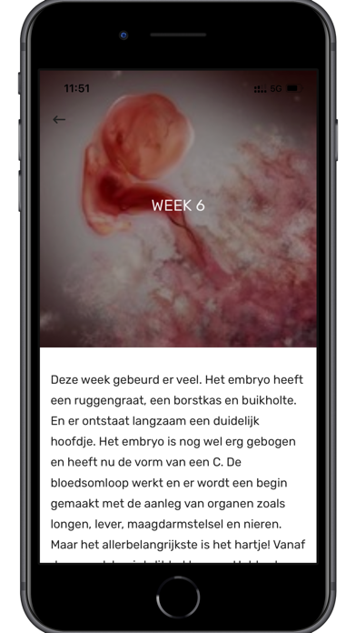 Verloskundigenpraktijk Uitgere Screenshot