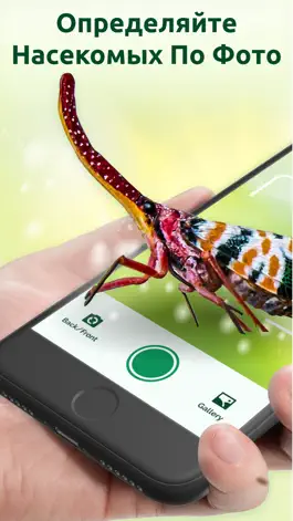 Game screenshot Bug Identifier mod apk