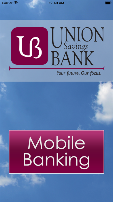 UNION Savings BANK - Illinois Screenshot
