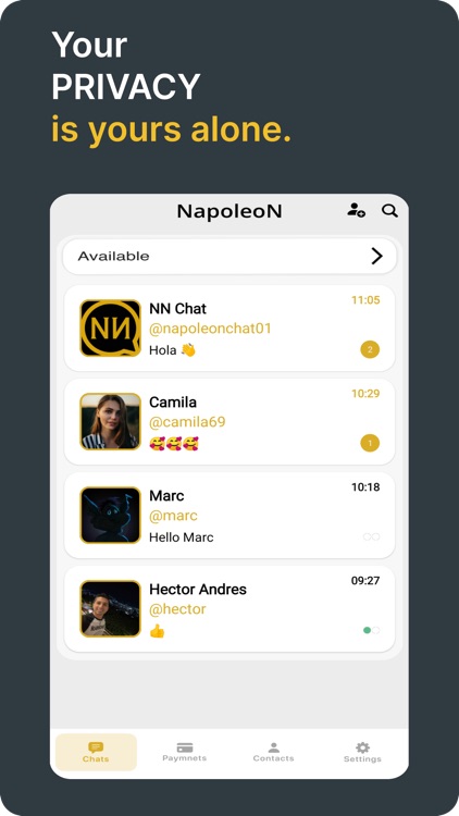 NapoleoN Chat