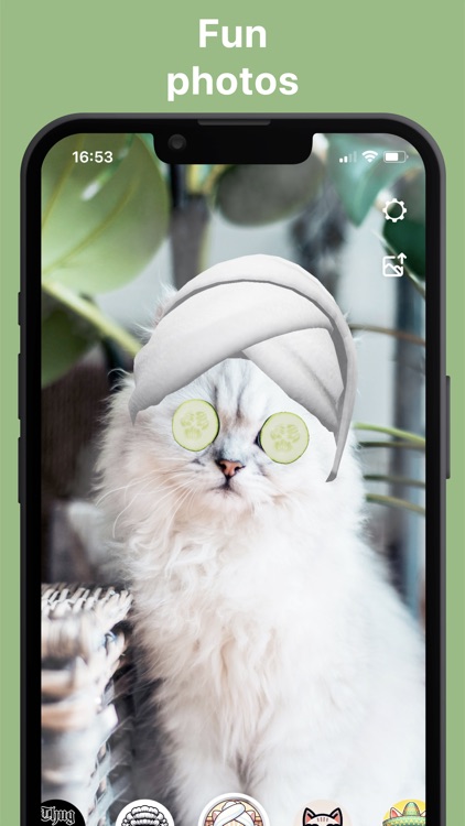 Pawtastic: Live Cat Effects