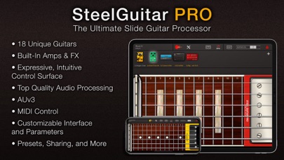 Steel Guitar PRO Screenshot