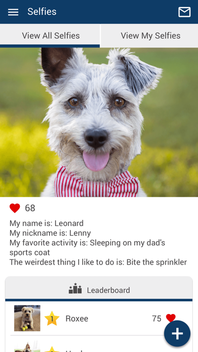Lakeside Pets Screenshot
