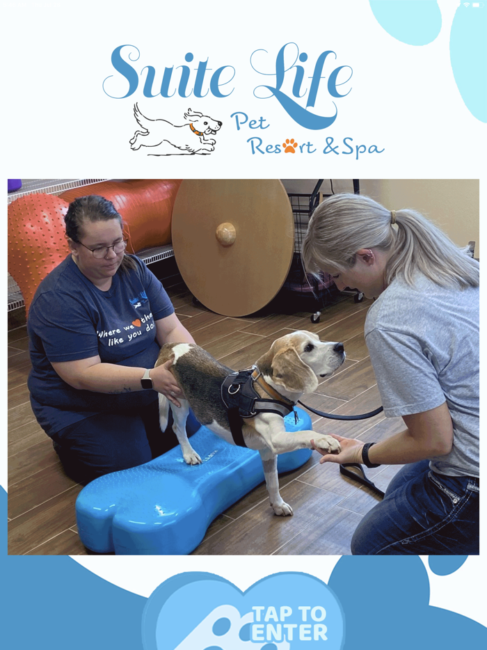 Suite Life Pet Resort and Spa