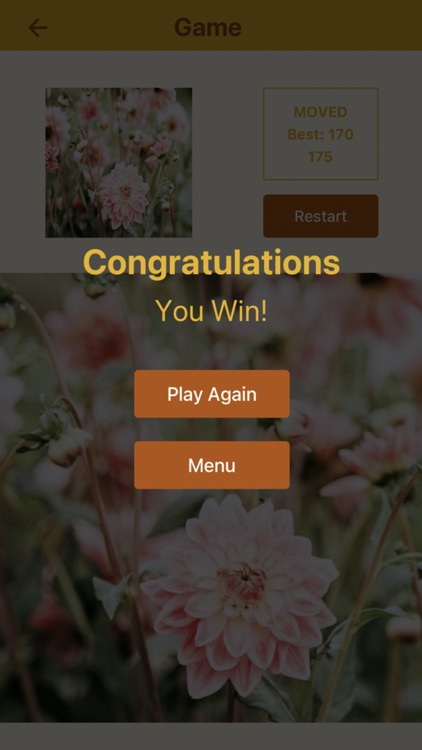 Mini Puzzle Game screenshot-5