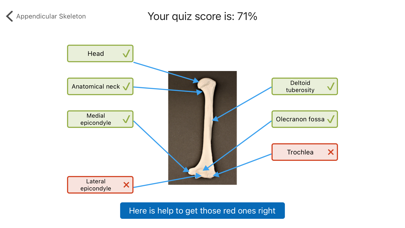 Anatomy Karma skeletal system Screenshot