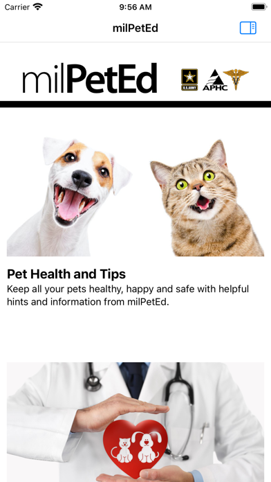 Military Pet Education Screenshot