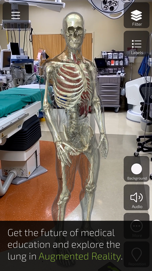 #1. INSIGHT LUNG (iOS) Podle: ANIMA RES