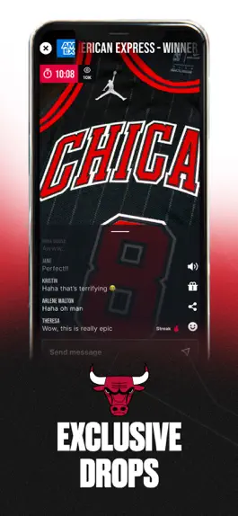 Game screenshot Chicago Bulls hack