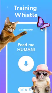 cat simulator - Сhat meow problems & solutions and troubleshooting guide - 2