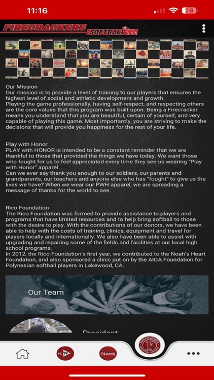 Firecracker Softball screenshot-3