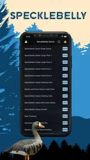 specklebelly goose magnet iphone screenshot 1