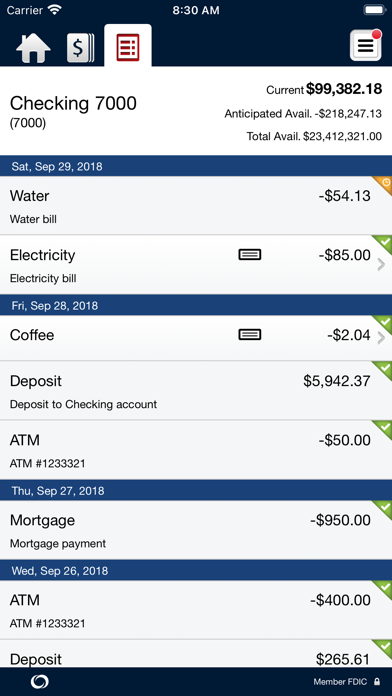 US Metro Bank Business Screenshot