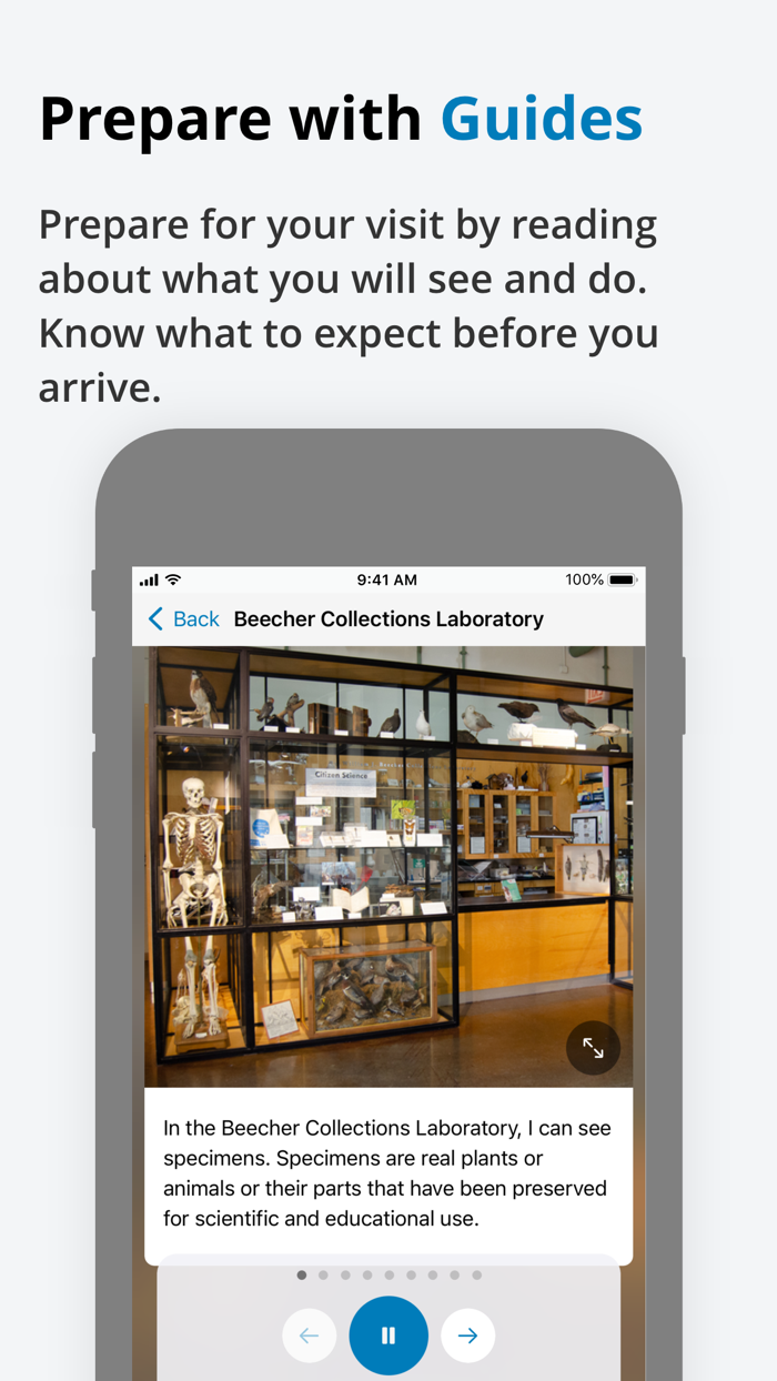 Sensory Friendly Nature Museum