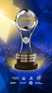 conmebol sudamericana problems & solutions and troubleshooting guide - 1