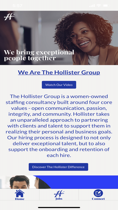 The Hollister Group Screenshot