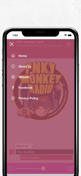 Game screenshot FNKY MONKEY RADIO hack