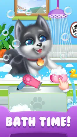 Game screenshot My Husky Dog Pet Daycare mod apk