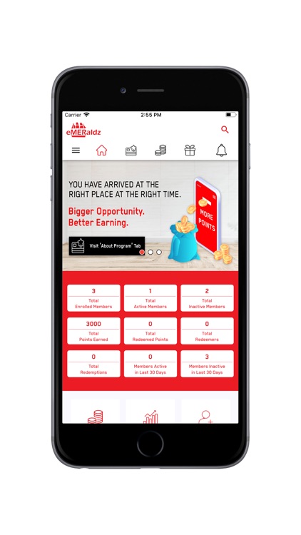 Merino eMERaldz screenshot-4