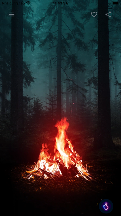 Calm Video - Comfort and Care Screenshot