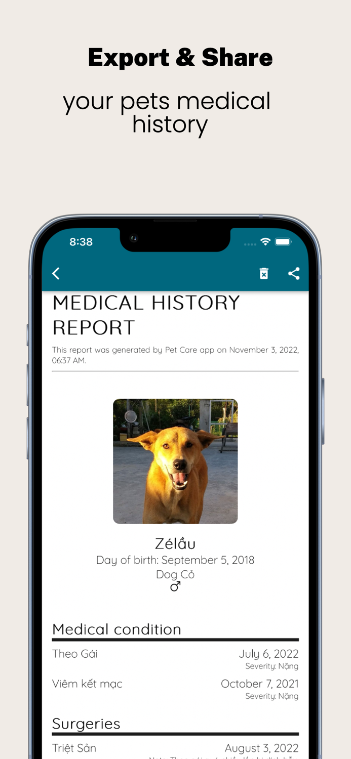 Pet Care Knowing your pets