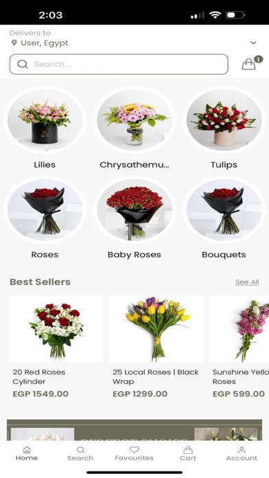 Flower Empire Screenshot