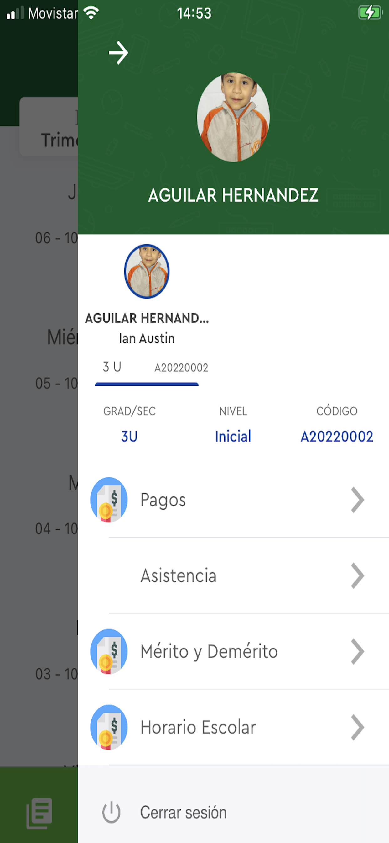 Virgen del Rosario
