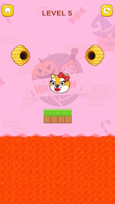 Save My Pet - Pet Escape Screenshot