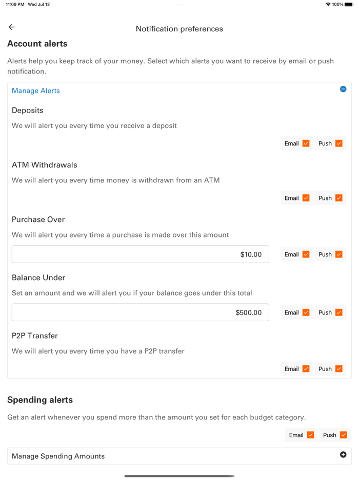 Money Network Mobile App