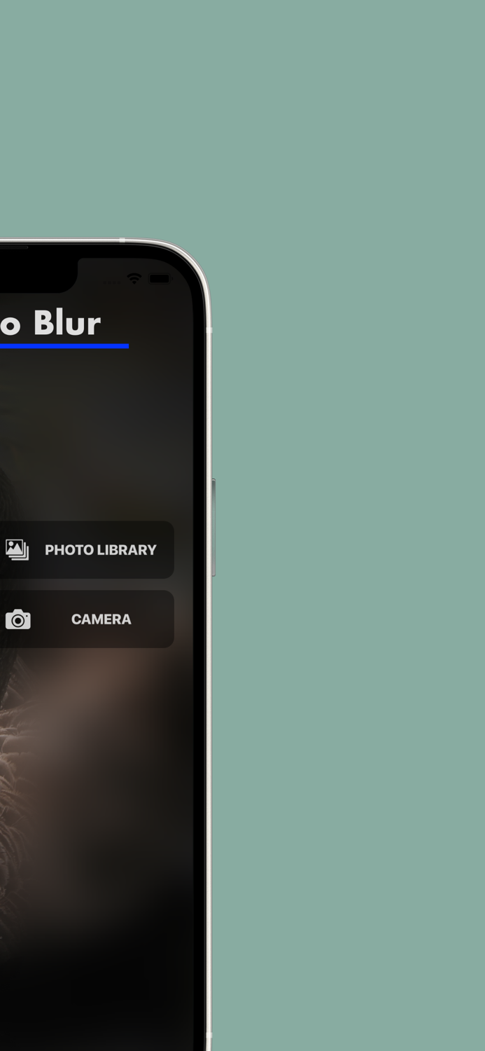 Blur Photo Effect Editor