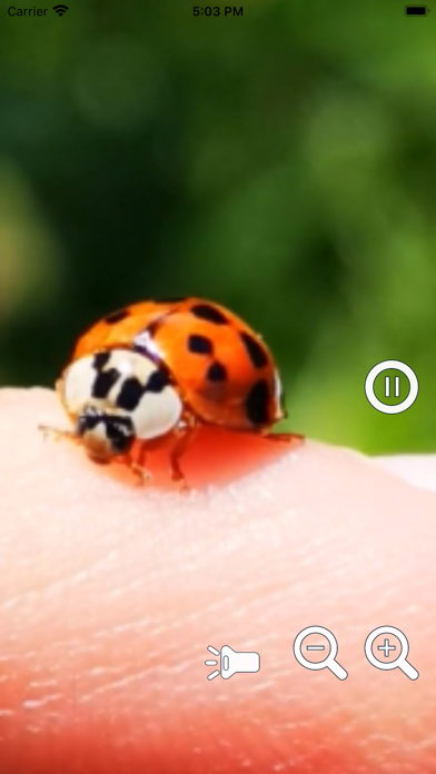 Magnifying Glass Pro2 - Loupe Screenshot