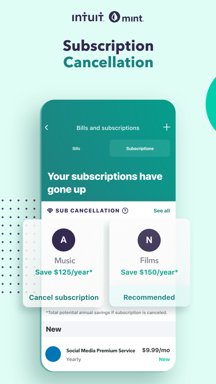 Mint Budget and Expense Manager