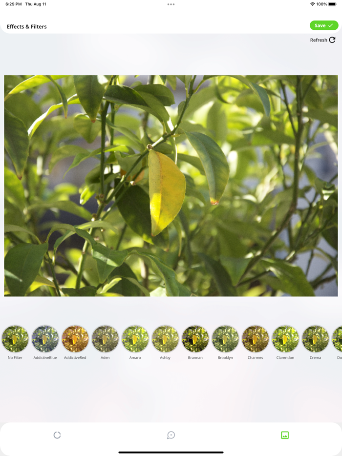 StatusApp for WhatsApp
