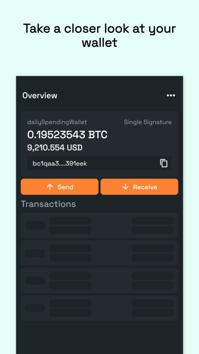Bitcoin Wallet - BTC Vault Screenshot