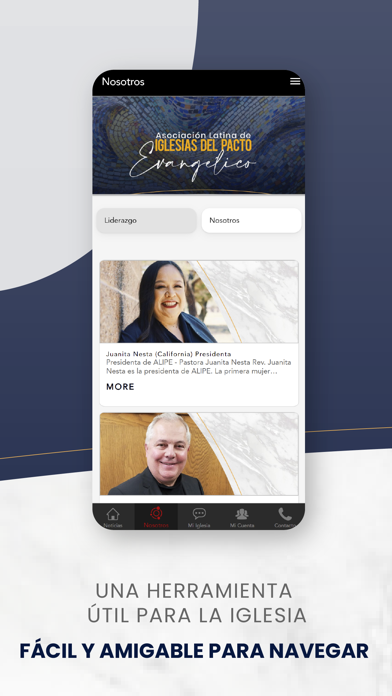 ALIPE Screenshot