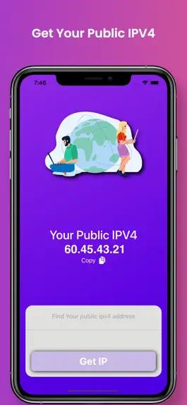 Game screenshot My Public Ip | IPV4 apk