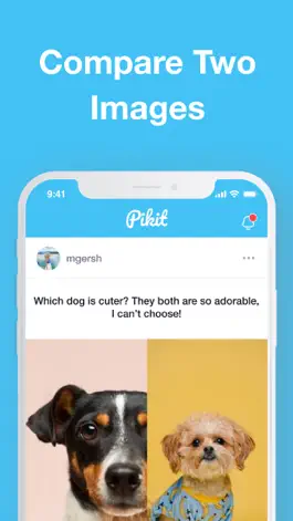 Game screenshot Pikit with Friends Vote & Know mod apk
