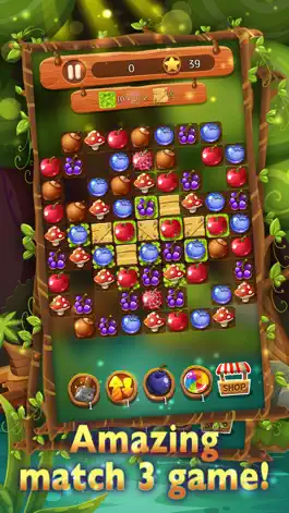 Game screenshot Mystery Forest Match 3 Premium mod apk