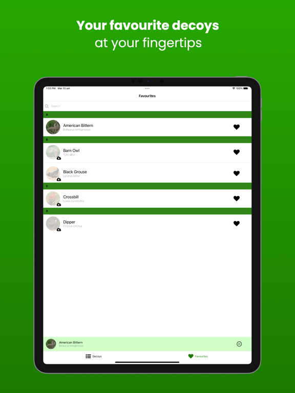 Screenshot #5 pour Hunting Decoys - Birdwatching