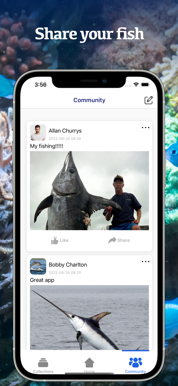 Fish Identification by Picture