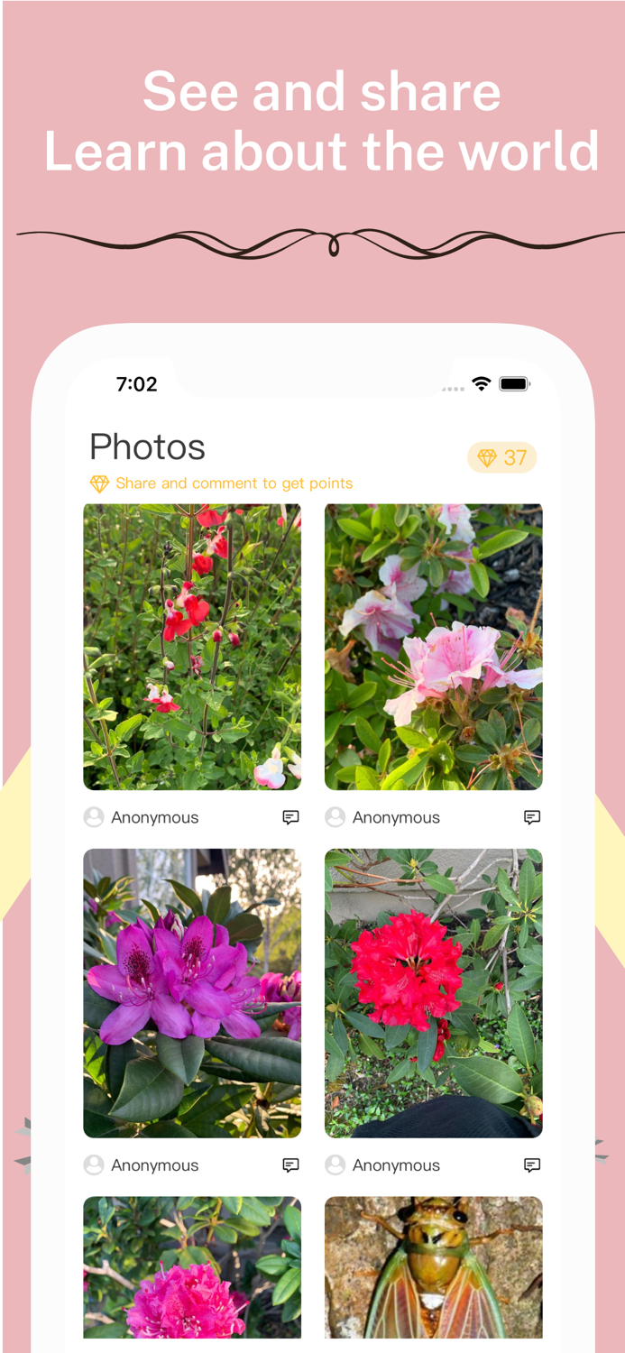 E-Identifier Identification