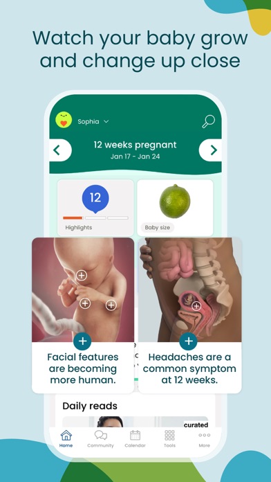 Pregnancy Tracker - BabyCenter Screenshot