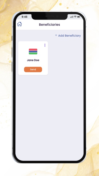 Soni Transfer USA Screenshot