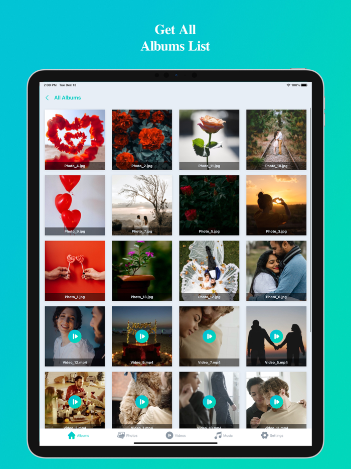 All Media File Manager
