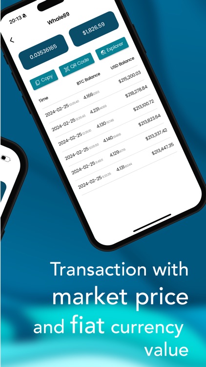 BTC Address Monitoring