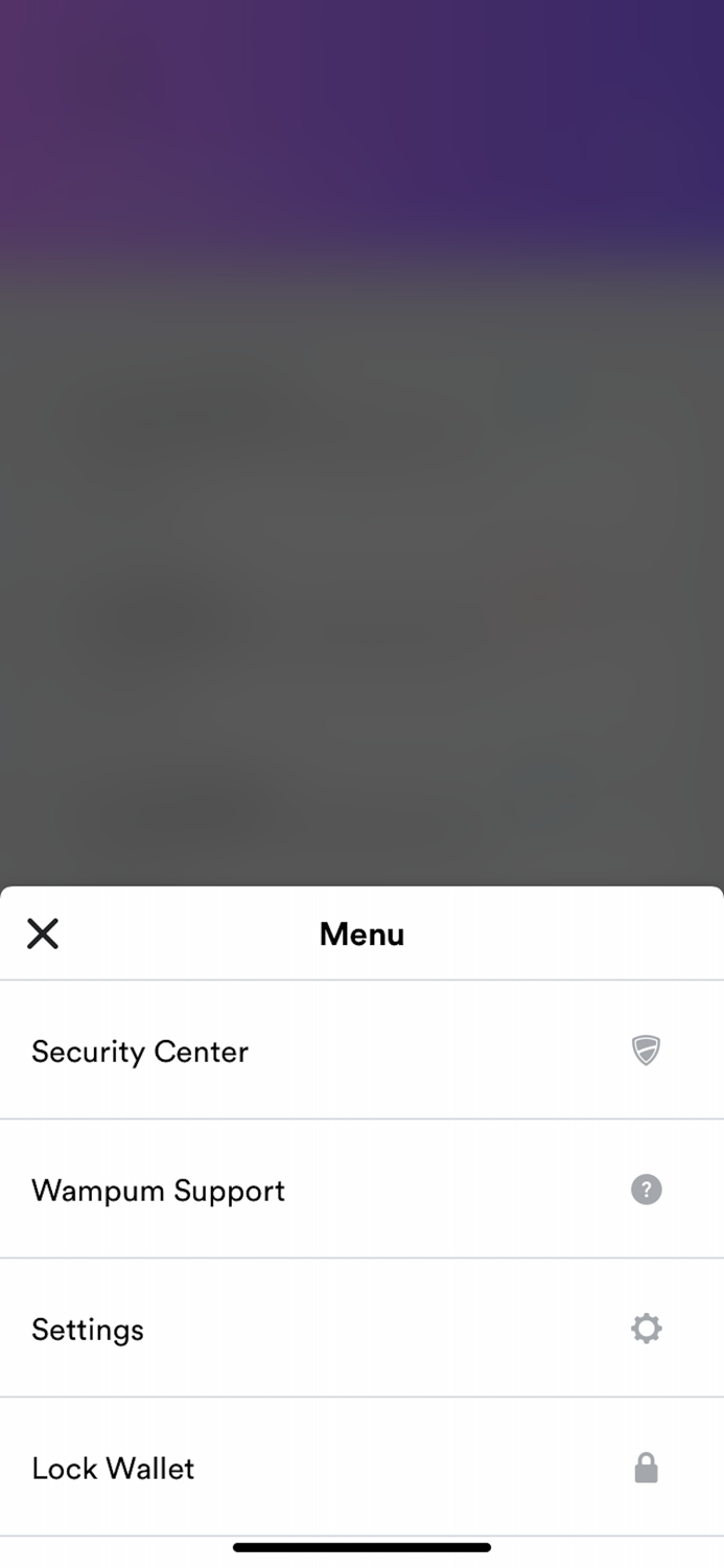 Wampum1st Anonymous Dapp