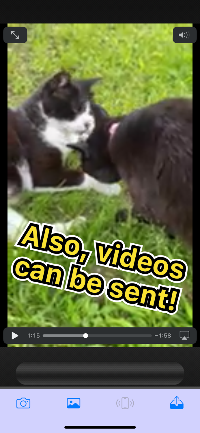 BlueTransLite - Easy sharing