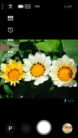 Game screenshot Minolta ProShot mod apk