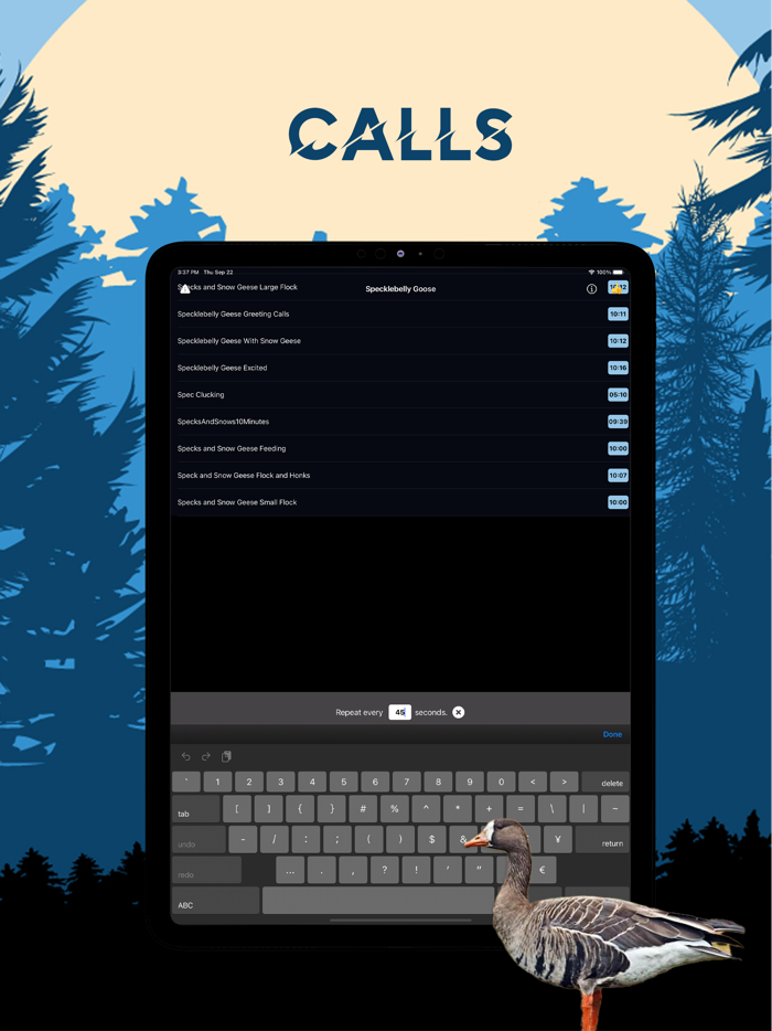 Specklebelly Goose Magnet